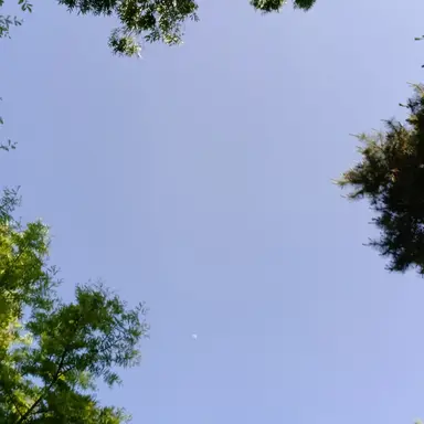 Profile image of 잠뜰