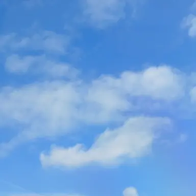 Profile image of 공룡