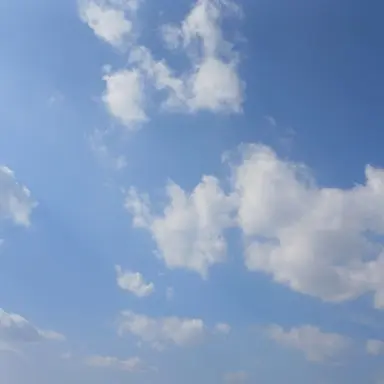 Profile image of 각별