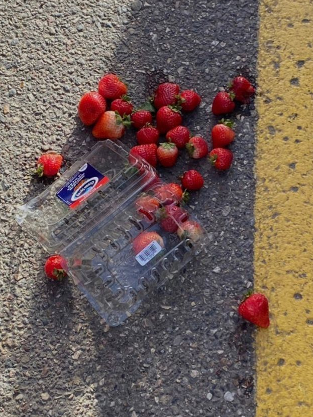 ㅤ 대표 이미지