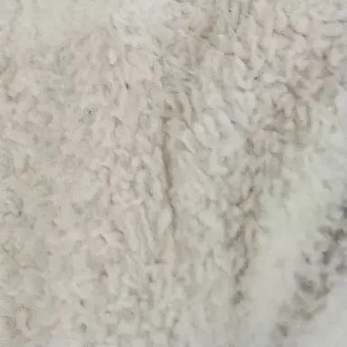 Profile image of MAZZEL