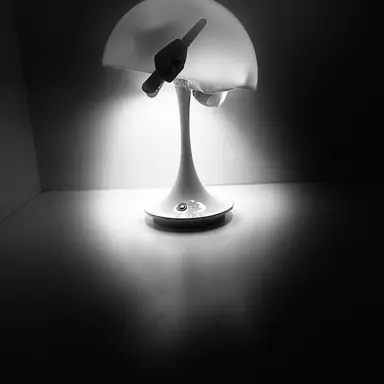 Profile image of 나화진