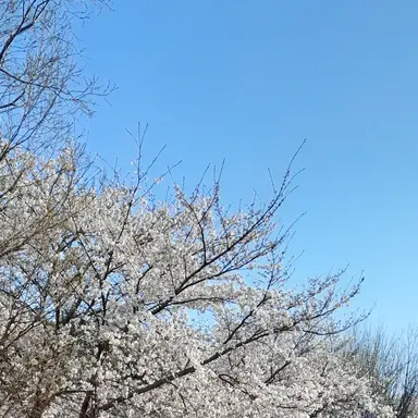 Profile image of 고고프렌즈 수학학원