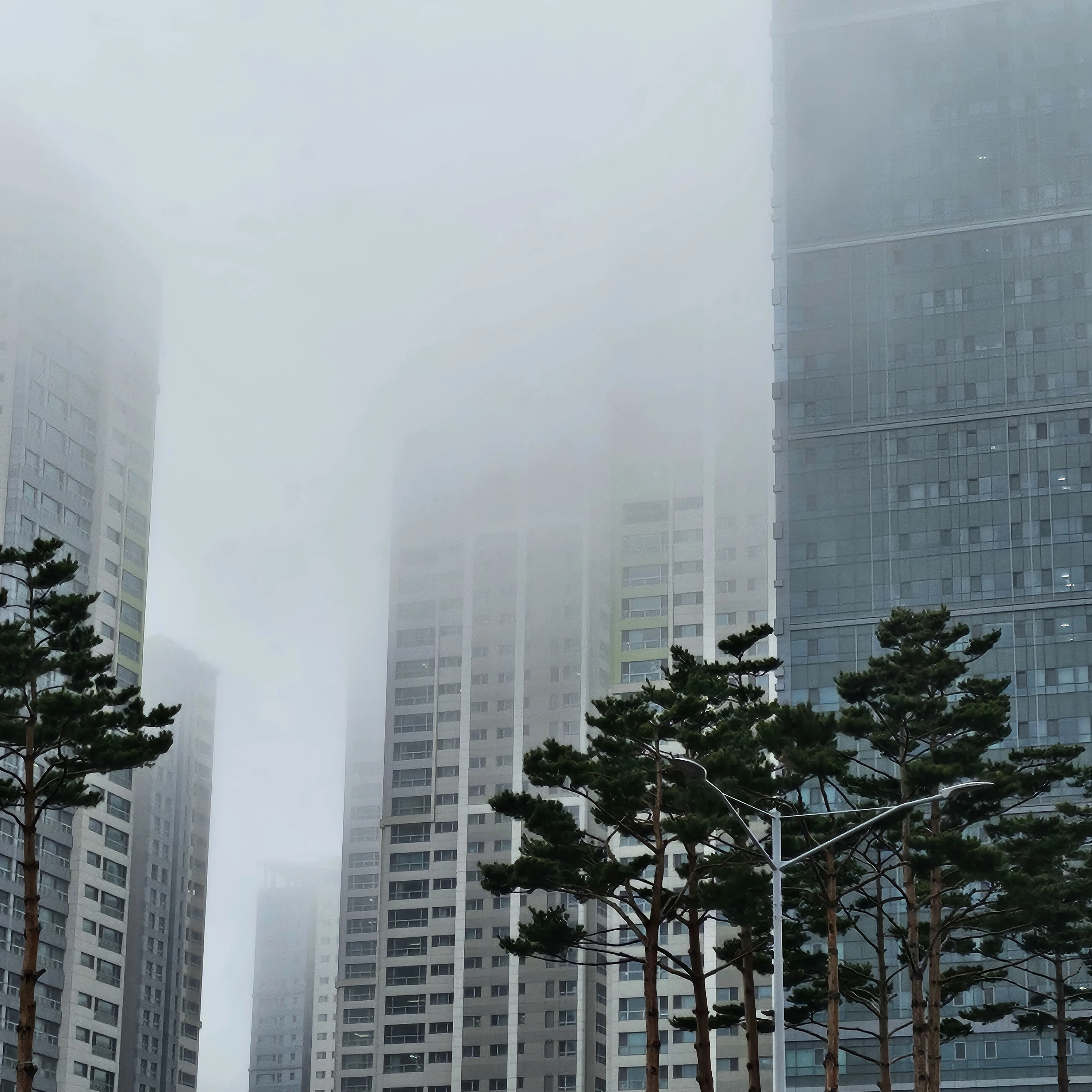 최범규