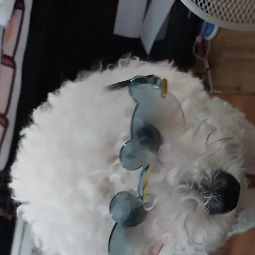 CrazyLock5106의 말숙이