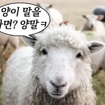 Profile image of 나멋짐