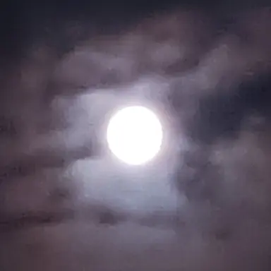 Profile image of 김준엽