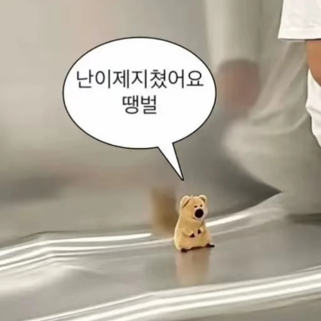 응애
