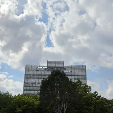 Profile image of 시연