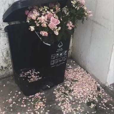 Profile image of 플래그