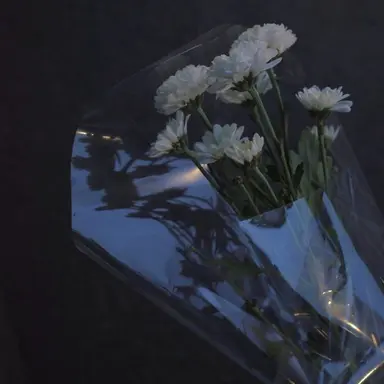 Profile image of 행크