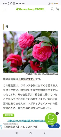 Profile image of 茶屋道　那央也