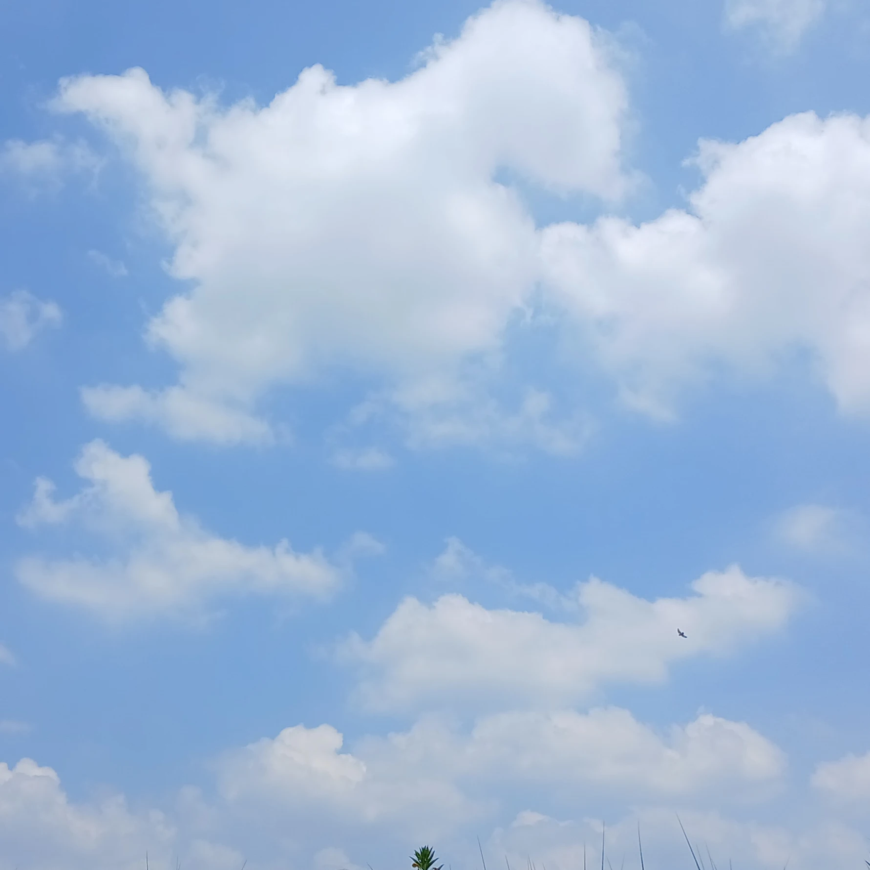 잉