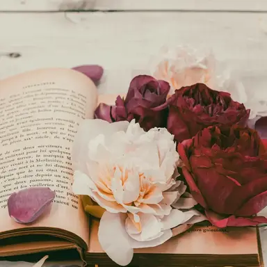 Profile image of 大森元貴