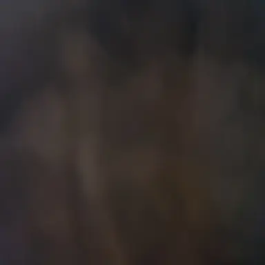 Profile image of 늑대