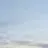 고고프렌즈일찐무리
