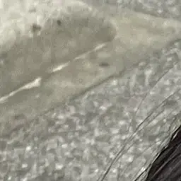 Profile image of 高橋恭平