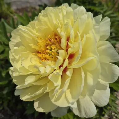 Profile image of 언슬전