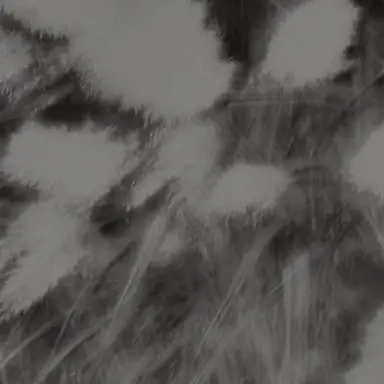 Profile image of 신정환