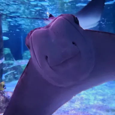 Profile image of 잭