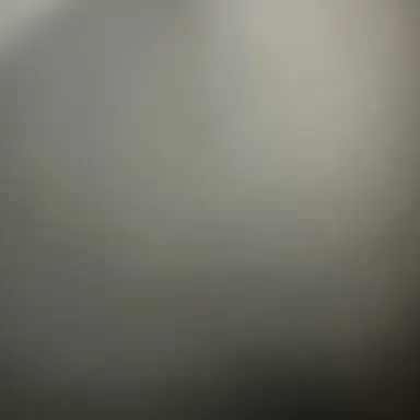 Profile image of 카리나