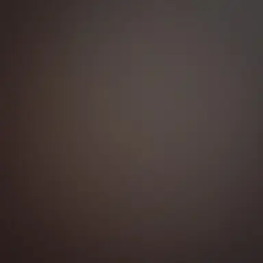 Profile image of 이헌