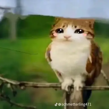 Profile image of Amy