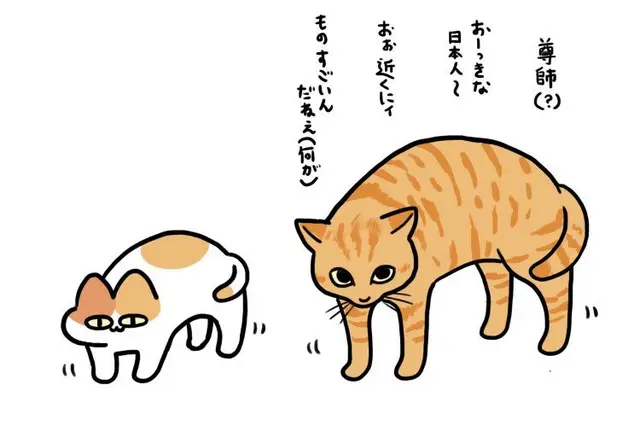 Profile image of 尊師猫