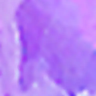 Profile image of Hibari