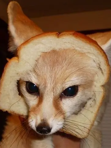 agi_n074의 遠距離恋愛