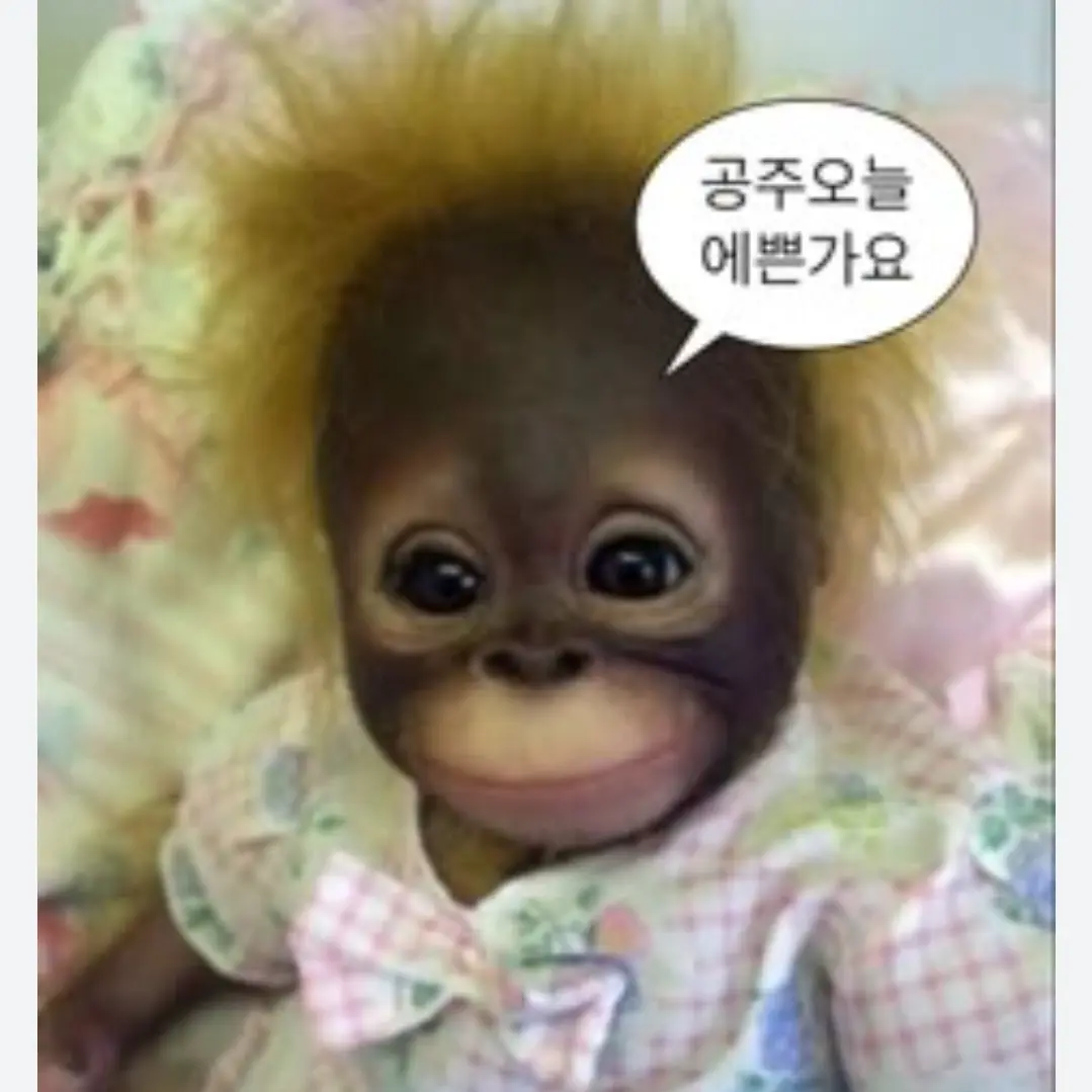 FestalPaint6399의 고고프렌즈{수학여행}👾