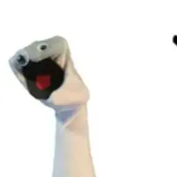 Profile image of 양말