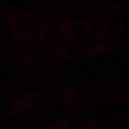 Profile image of 다현