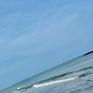 Profile image of 死柄木