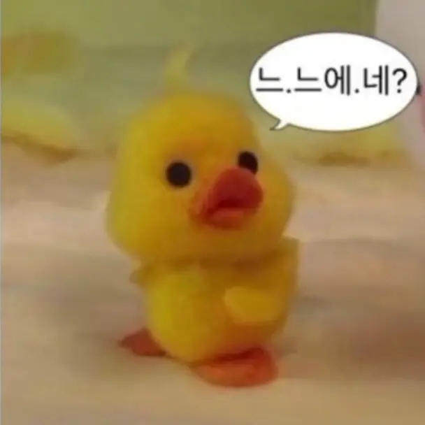 PrimHusky6708의 최윤지