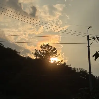 Profile image of df.설명