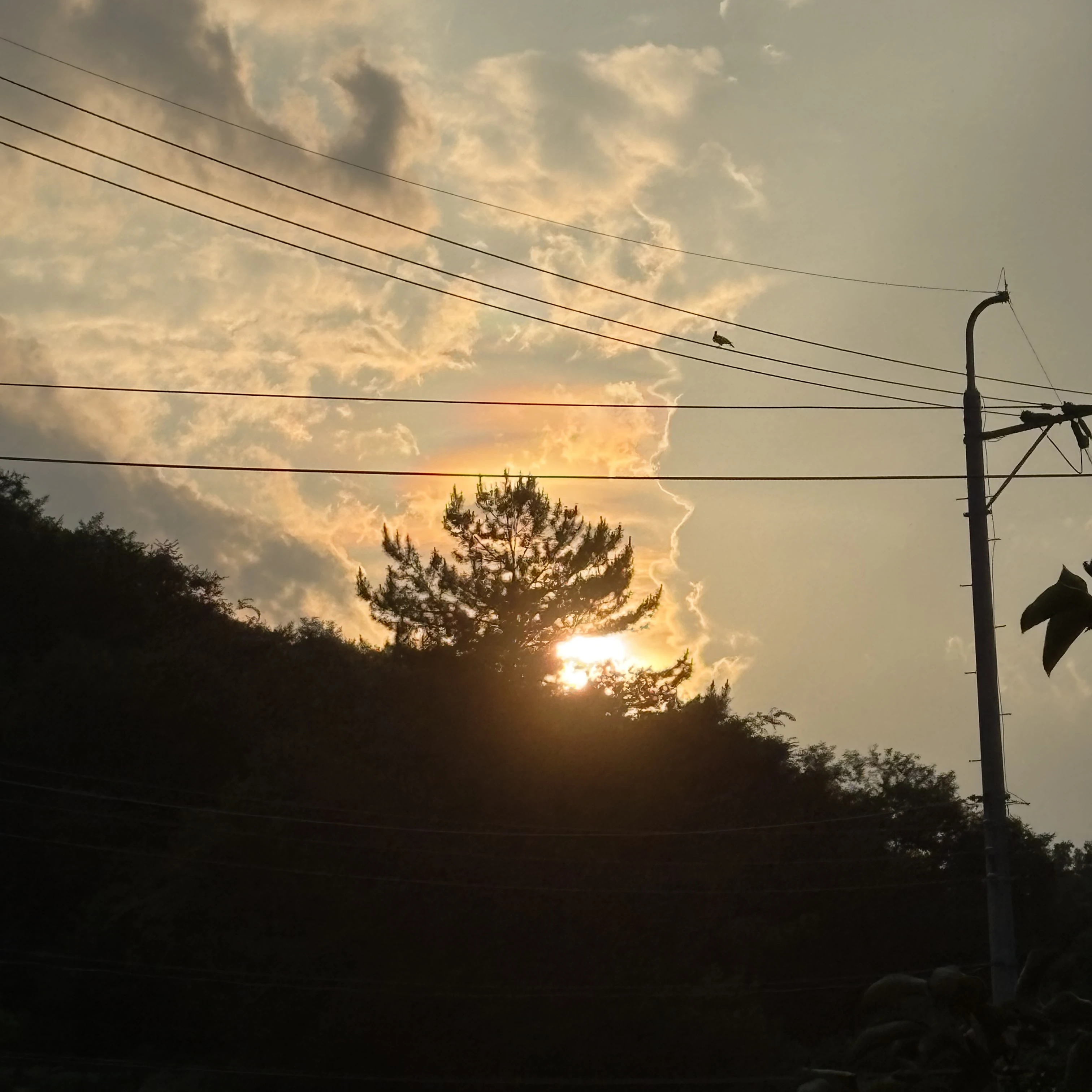 df.설명