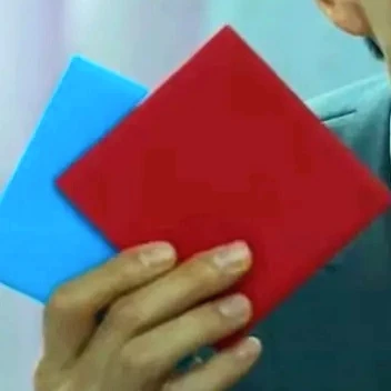 딱지남