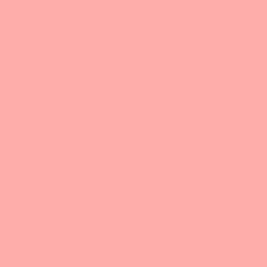 ChubbyBrush1076의 최_연_준