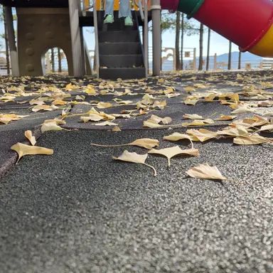 Profile image of H후드