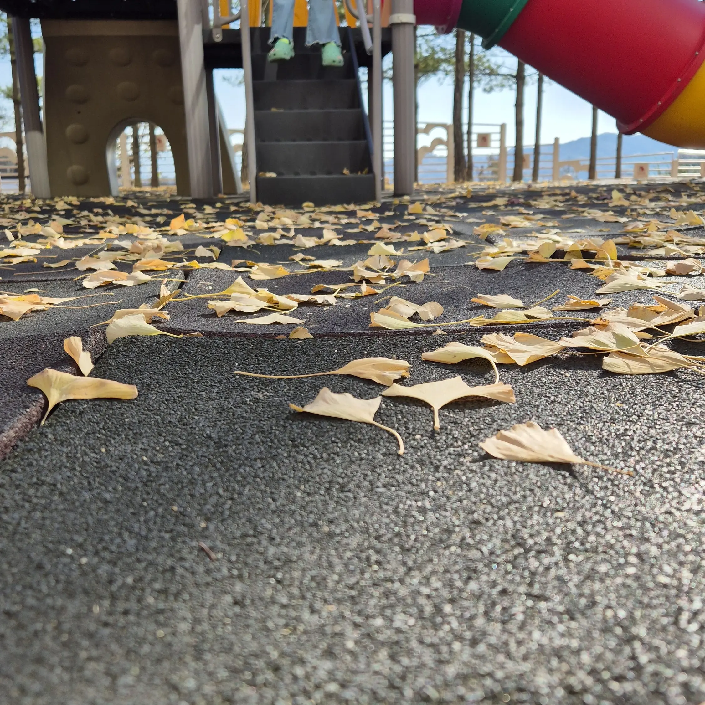 01023456829의 님은 H후드