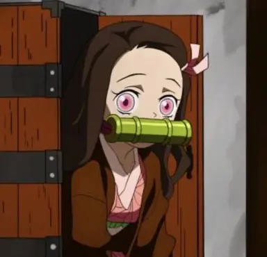 Profile image of 竈門禰豆子