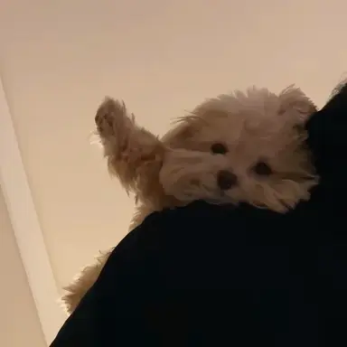 Profile image of 김규빈