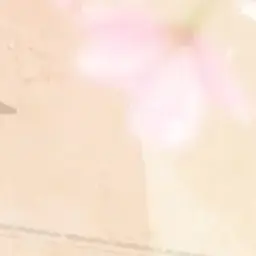 Profile image of 星雫