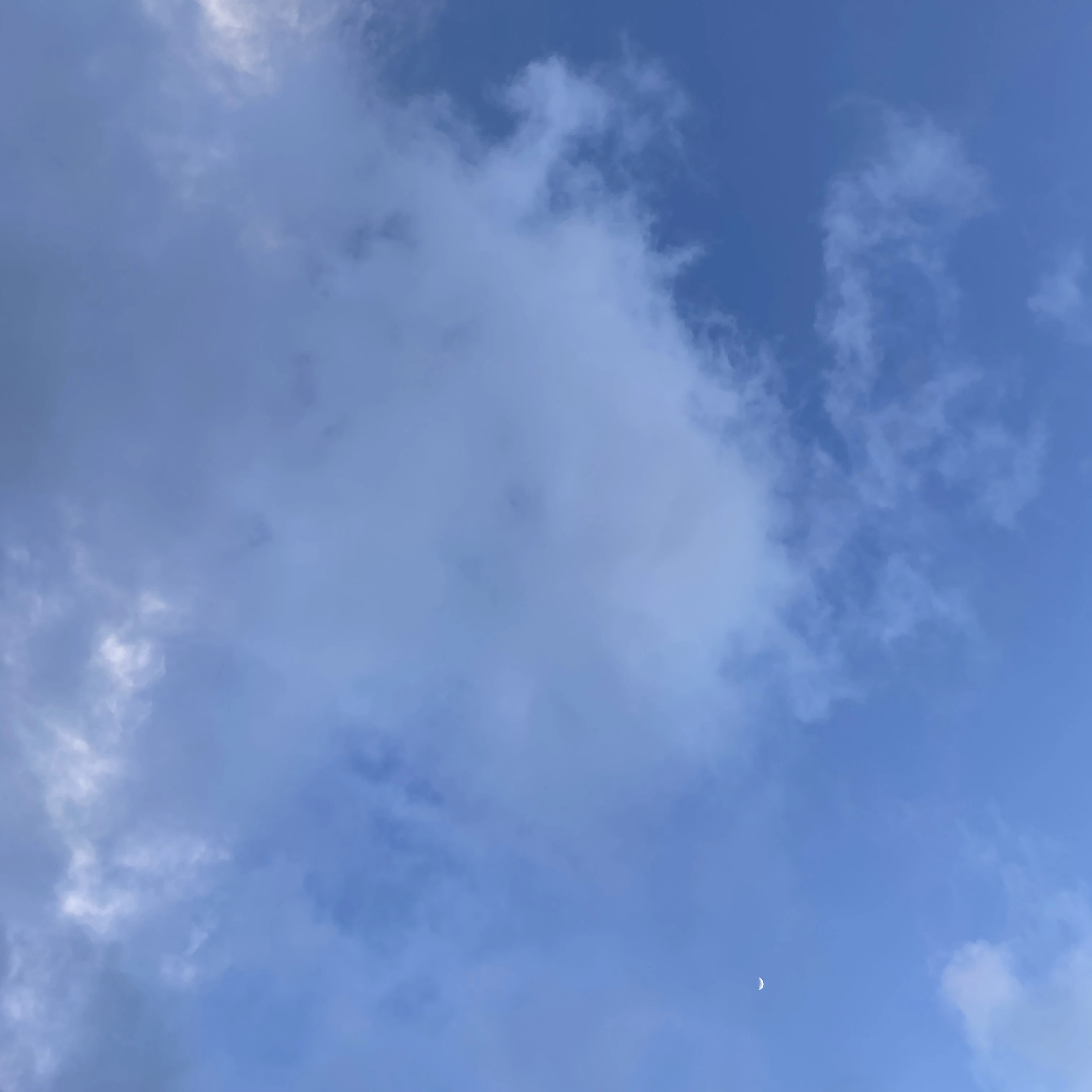 전율