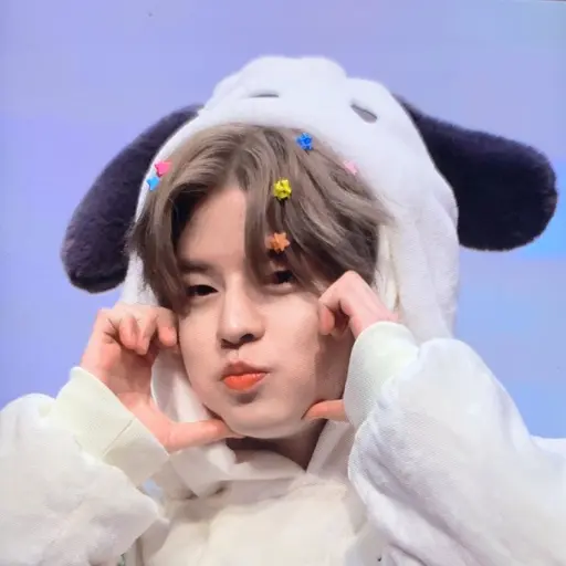 realstraykids의 김승민