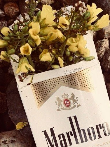 ︎ 대표 이미지