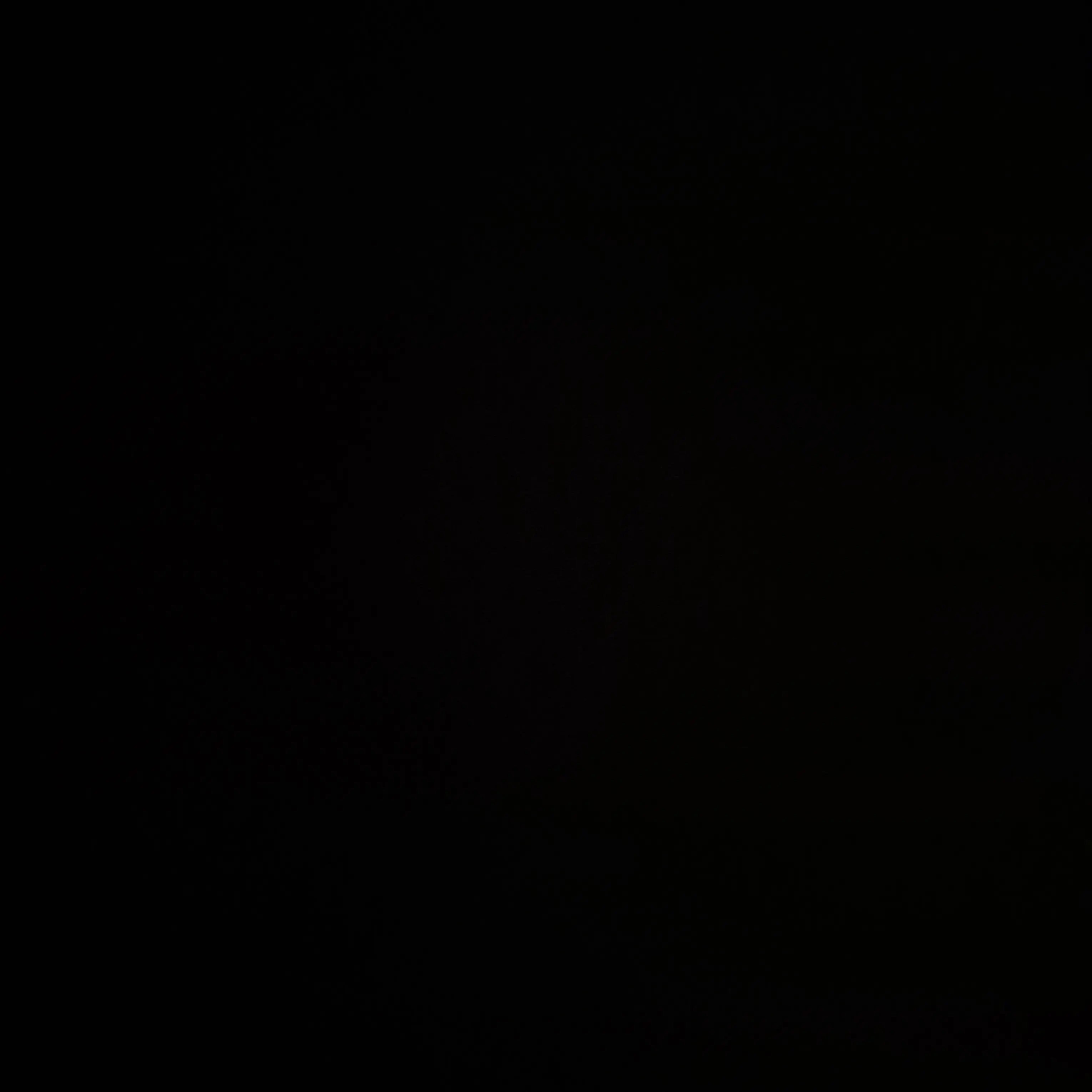 RareMask2040의 풀빌라(2박3일)