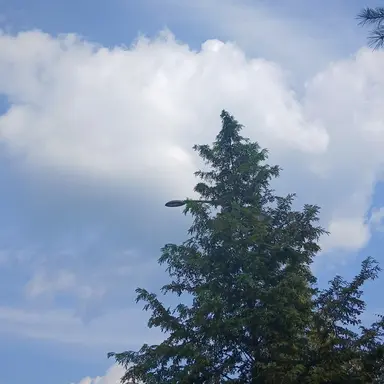 Profile image of 이민규