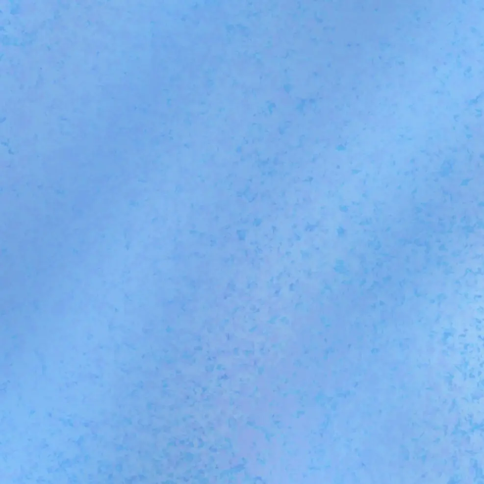 ZZTL의 갱생 당하는 불량아